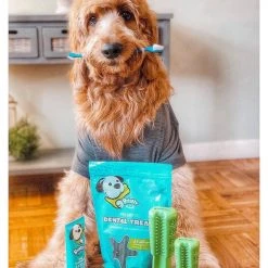 Bristly Prebiotic Dental Treat 7 Bristly Prebiotic Dental Treat