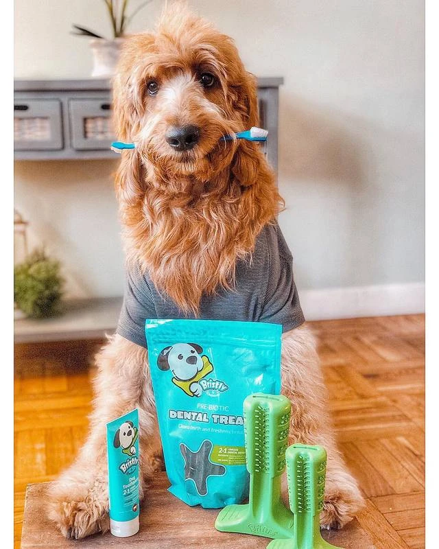 Bristly Prebiotic Dental Treat 5 Bristly Prebiotic Dental Treat