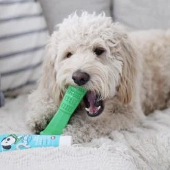 Bristly Prebiotic Toothpaste 9 Bristly Prebiotic Toothpaste