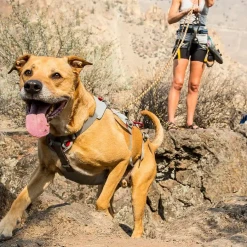 Ruffwear Doubleback Harness Pets 5 Ruffwear Doubleback Harness Pets