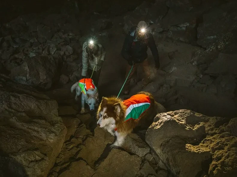 Ruffwear Lumenglow High-Vis Jacket 4 Ruffwear Lumenglow High-Vis Jacket