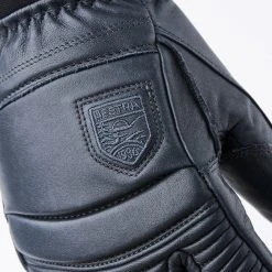Accessories Hestra Leather Fall Line Glove
