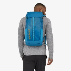 Backpacks & Duffels Patagonia Black Hole Pack 25L