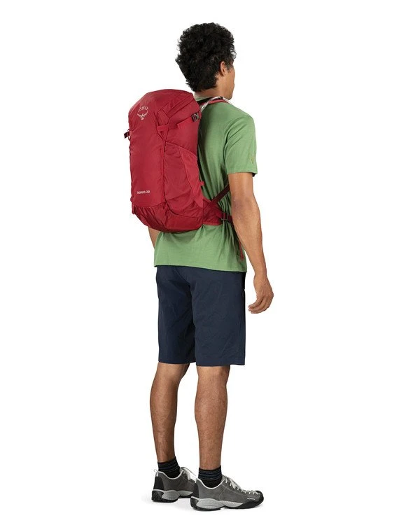 Backpacks & Duffels Osprey Skarab 22 Men's 6 Backpacks & Duffels Osprey Skarab 22 Men's